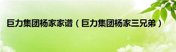 巨力集团杨家家谱【巨力集团杨家三兄弟】