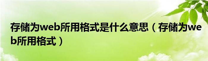 存储为web所用格式是什么意思【存储为web所用格式】