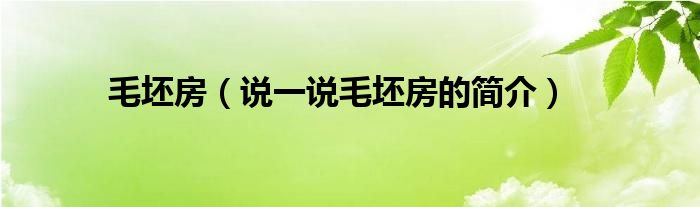 毛坯房【说一说毛坯房的简介】