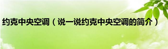 约克中央空调【说一说约克中央空调的简介】