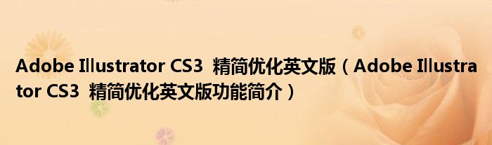 Adobe Illustrator CS3  精简优化英文版【Adobe Illustrator CS3  精简优化英文版功能简介】