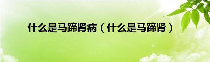 什么是马蹄肾病【什么是马蹄肾】