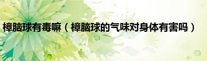 樟脑球有毒嘛【樟脑球的气味对身体有害吗】