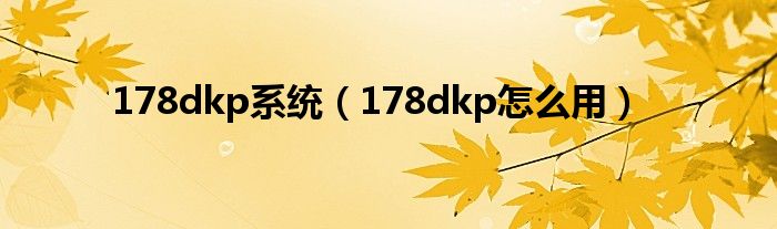 178dkp系统【178dkp怎么用】