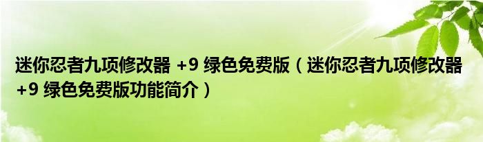 迷你忍者九项修改器 +9 绿色免费版【迷你忍者九项修改器 +9 绿色免费版功能简介】