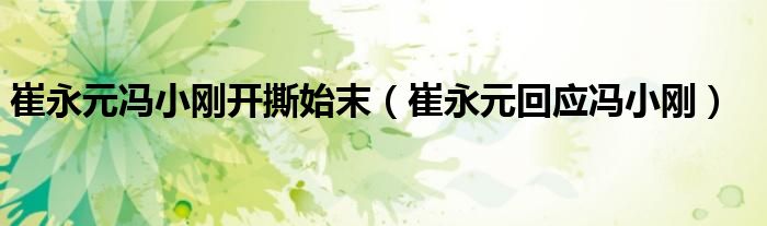 崔永元冯小刚开撕始末【崔永元回应冯小刚】