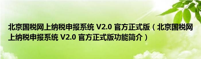 北京国税网上纳税申报系统 V2.0 官方正式版【北京国税网上纳税申报系统 V2.0 官方正式版功能简介】