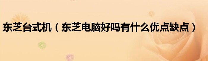 东芝台式机【东芝电脑好吗有什么优点缺点】