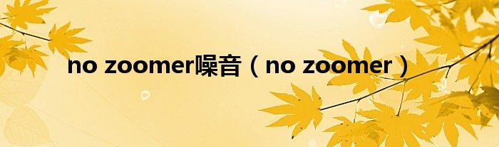 no zoomer噪音【no zoomer】