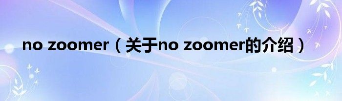 no zoomer【关于no zoomer的介绍】