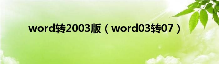 word转2003版【word03转07】