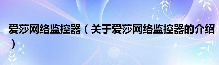 爱莎网络监控器【关于爱莎网络监控器的介绍】