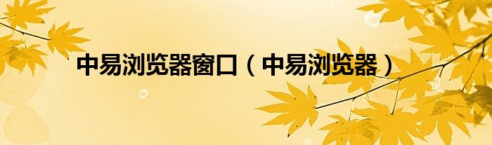 中易浏览器窗口【中易浏览器】