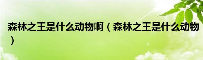 森林之王是什么动物啊【森林之王是什么动物】