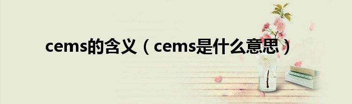 cems的含义【cems是什么意思】