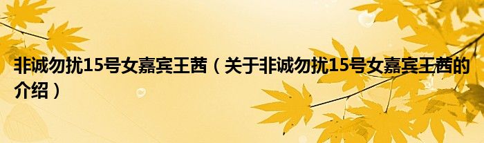 非诚勿扰15号女嘉宾王茜【关于非诚勿扰15号女嘉宾王茜的介绍】