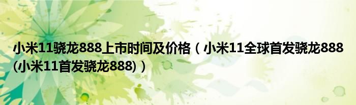 小米11骁龙888上市时间及价格【小米11全球首发骁龙888(小米11首发骁龙888)】