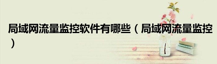 局域网流量监控软件有哪些【局域网流量监控】