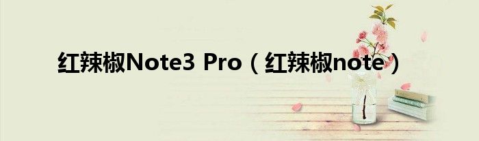 红辣椒Note3 Pro【红辣椒note】