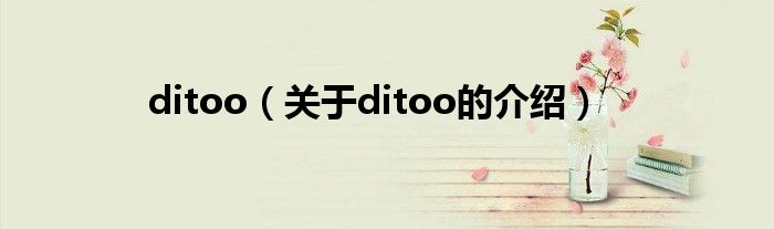 ditoo【关于ditoo的介绍】