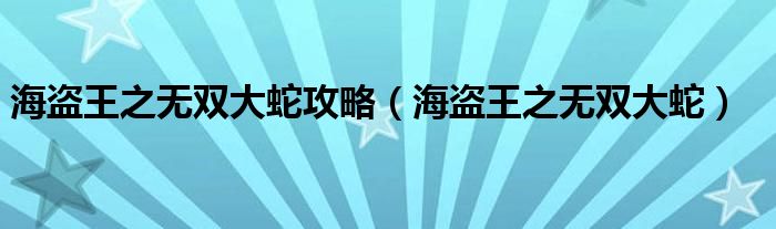 海盗王之无双大蛇攻略【海盗王之无双大蛇】