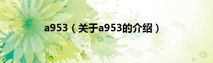 a953【关于a953的介绍】