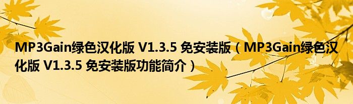 MP3Gain绿色汉化版 V1.3.5 免安装版【MP3Gain绿色汉化版 V1.3.5 免安装版功能简介】