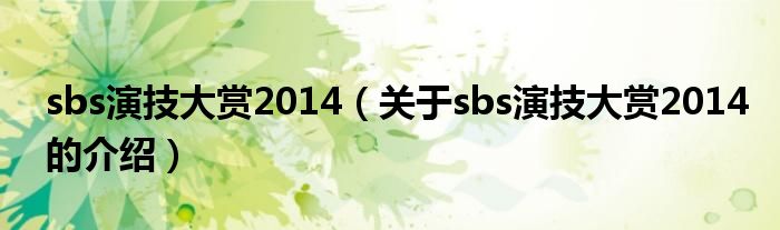 sbs演技大赏2014【关于sbs演技大赏2014的介绍】