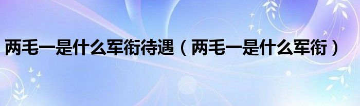 两毛一是什么军衔待遇【两毛一是什么军衔】