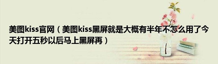 美图kiss官网【美图kiss黑屏就是大概有半年不怎么用了今天打开五秒以后马上黑屏再】