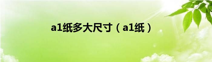 a1纸多大尺寸【a1纸】