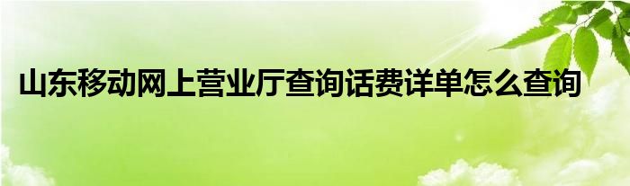 山东移动网上营业厅查询话费详单怎么查询