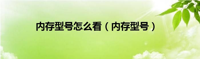 内存型号怎么看【内存型号】