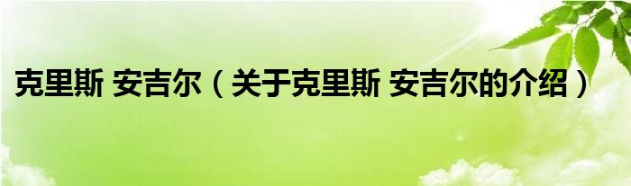 克里斯 安吉尔【关于克里斯 安吉尔的介绍】