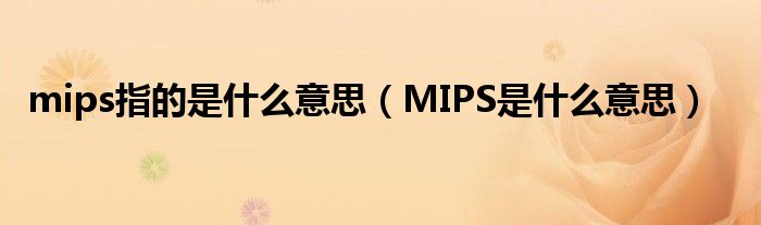 mips指的是什么意思【MIPS是什么意思】