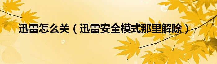 迅雷怎么关【迅雷安全模式那里解除】