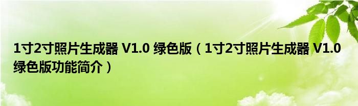 1寸2寸照片生成器 V1.0 绿色版【1寸2寸照片生成器 V1.0 绿色版功能简介】