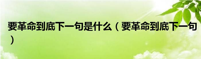 要革命到底下一句是什么【要革命到底下一句】