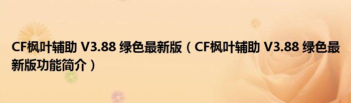 CF枫叶辅助 V3.88 绿色最新版【CF枫叶辅助 V3.88 绿色最新版功能简介】