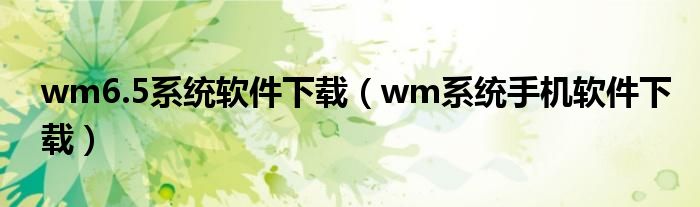 wm6.5系统软件下载【wm系统手机软件下载】