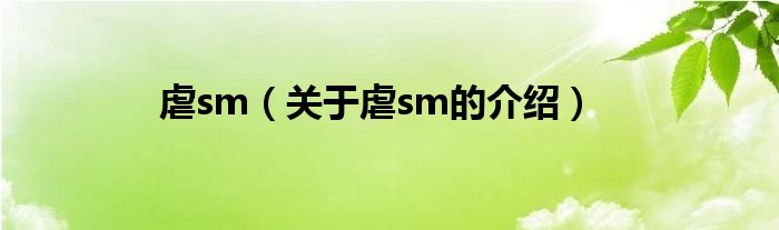 虐sm【关于虐sm的介绍】