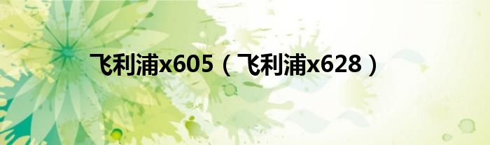 飞利浦x605【飞利浦x628】