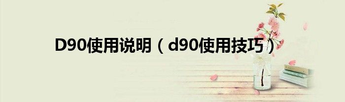 D90使用说明【d90使用技巧】