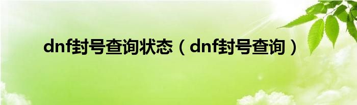 dnf封号查询状态【dnf封号查询】