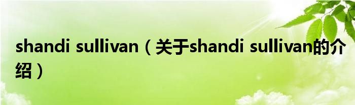 shandi sullivan【关于shandi sullivan的介绍】