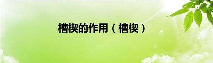 槽楔的作用【槽楔】