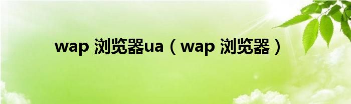 wap 浏览器ua【wap 浏览器】
