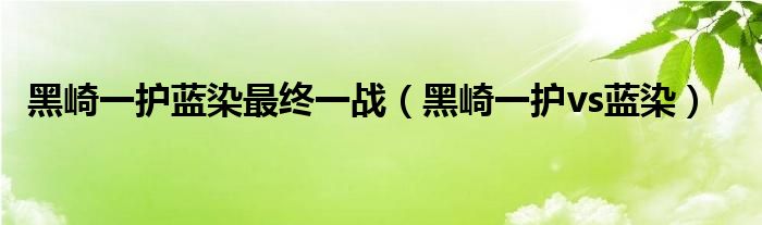 黑崎一护蓝染最终一战【黑崎一护vs蓝染】