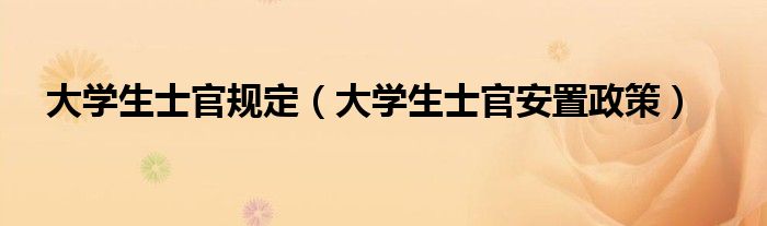 大学生士官规定【大学生士官安置政策】