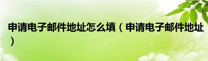 申请电子邮件地址怎么填【申请电子邮件地址】